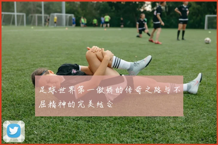 足球世界第一傲娇的传奇之路与不屈精神的完美结合