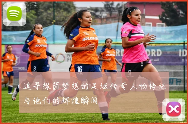 追寻绿茵梦想的足坛传奇人物传记与他们的辉煌瞬间